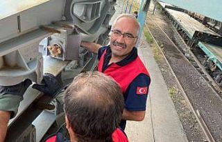 Yaramaz kedi sıkıştığı yerden zeytinyağı ile...