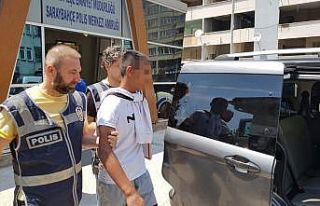 Yaş 17, suç kaydı 70