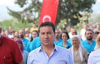 Yavru kedileri poşet içerisinde canlı canlı çöpe...