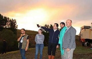 Yaylada sel sonrası 23 küçükbaş hayvan telef...