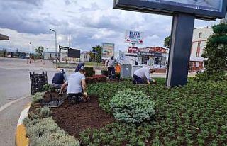 Yaz geldi, Darıca’da çalışmalar hızlandı