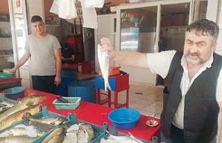 Yaz sezonu balıkları tezgahlarda yerini aldı