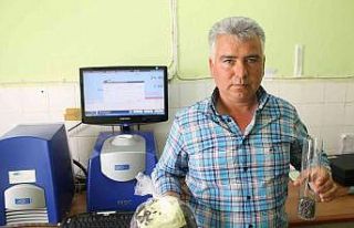 Yenişehir Yağlı Tohumlar Kooperatifi çiftçiye...