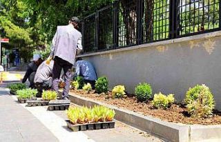 Yenişehir’de park ve bahçelerde bakım