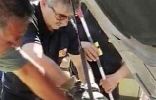 Yılan otomobilin motoruna girdi