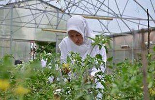 Yıldırım’ın ‘Özel’ anneleri üretiyor