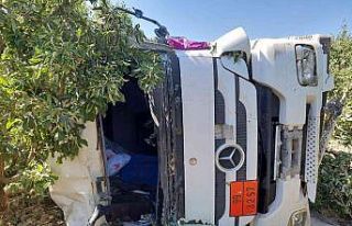 Yoldan çıkan tır meyve bahçesine devrildi, sürücü...