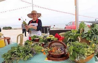 Yöresel Ot Yemekleri Festivali: 1878 çeşit ot tanıtıldı