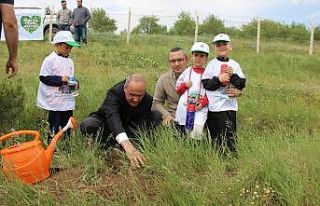 Yozgat’ta fidanlar toprakla buluştu