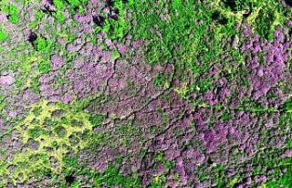 Yozgat’ta yağlıboya tablolarını andıran görüntüler