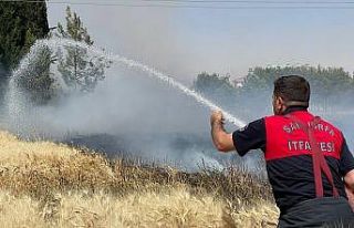 Yüksek gerilim hattı buğday tarlasını kül etti