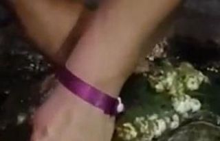 Yumurta bırakmak için kıyıya gelen caretta caretta...