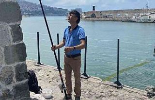 Yunuslar binlerce istavriti limana sıkıştırdı,...