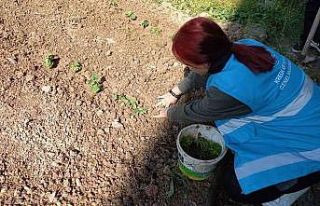 Yurdun bahçesinde Hobi Bahçesi oluşturdular