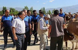 Zabıta ekipleri hayvan pazarını denetledi