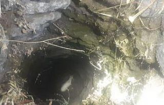 10 metrelik kuyuya düşen oğlak kurtarıldı