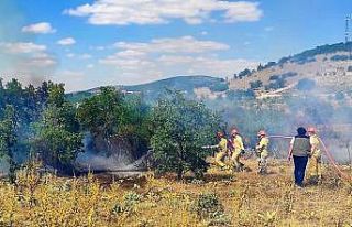15 dekarlık ormanlık alan küle döndü
