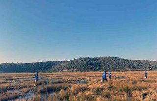 210 personelle vektörle mücadele