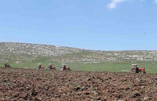 35 yıldır atıl kalan araziler değerlendiriliyor