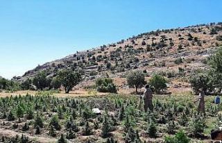 51 noktada gerçekleştirilen operasyonda 665 bin...