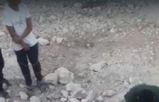 5 yavru köpek 5 saatte kurtarıldı