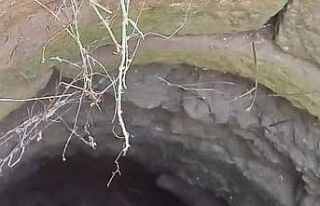 6 metrelik kuyuya düşen ineği ekipler kurtardı