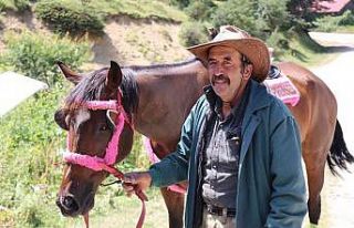 Abant Tabiat Parkı’nda fayton dönemi sona erdi