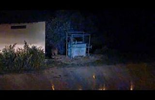 Aç kalan ayılar ilçe merkezine indi, çöpten karnını...