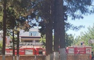 Ağaçta mahsur kalan kedi itfaiye ekiplerince kurtarıldı