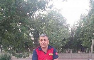 Ağaçta mahsur kalan kedi kurtarıldı