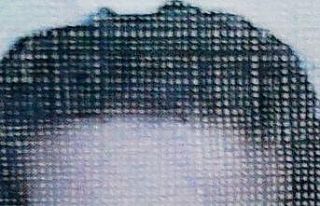 Ağaçtan düşen genç ağır yaralandı