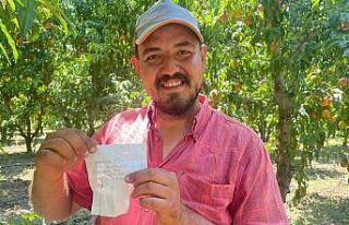 Ağaçtan topladığı şeftaliler için not ve para...