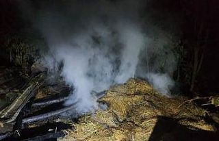 Ahırda çıkan yangın, satışı tamamlanan 10 kurbanlık...