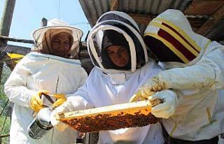 Aile boyu arıcı oldular