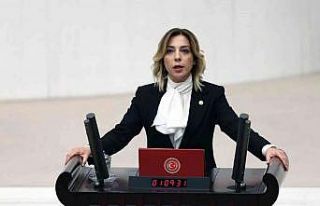 AK Parti Muğla Milletvekili Gökcan’dan 24 Temmuz...