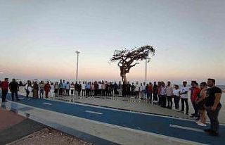 AK Partili gençlerden Mersin’deki ağaç katliamına...