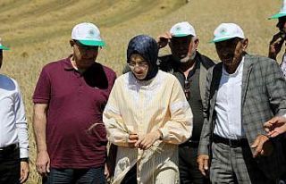 Akyurt’ta hasat zamanı