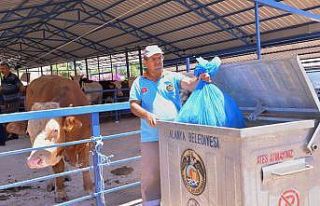 Alanya Belediyesinden “Kurban atıklarını poşetleyerek...