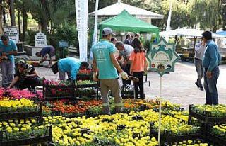 Alanya’da bayramda 60 bin çiçek dağıtılacak