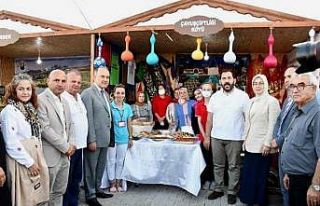 Altınova Belediyesi 15. Kültür Festivali renkli...