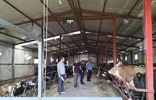 Altınova’da kurban satış ve kesim yerlerine sıkı...