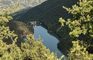 Amasya’da ormanlara giriş çıkışlar ve ateşli...
