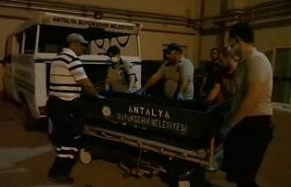 Antalya’da hayvan otlatma kavgası kanlı bitti:...