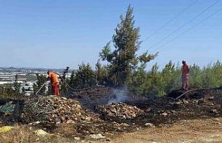 Antalya’da ormanlık alanda çıkan yangın korkuttu
