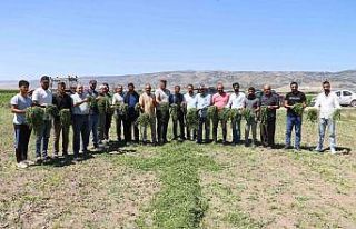 Aracılara sinirlenip İstanbul’a 2 gün boyunca...