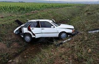 Aracıyla yoldan çıkan sürücü yaralandı