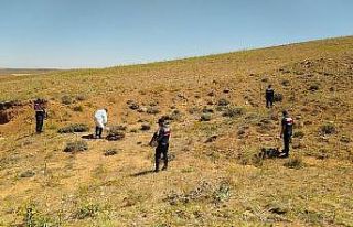 Arazi anlaşmazlığı faciayla bitti: 3 ölü, 1...