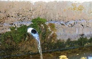 Ardıç kokulu su şifa dağıtıyor