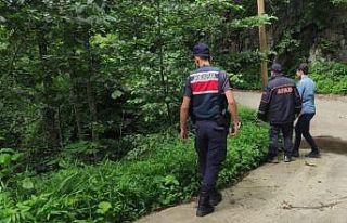 Artvin’de çay bohçasının peşinden giderken...