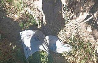 Asayiş Devriye Ekipleri 24 kilo Hint Keneviri ele...